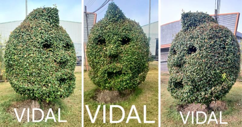 Homenaje a Arturo Vidal en Talcahuano - Créditos: RBB