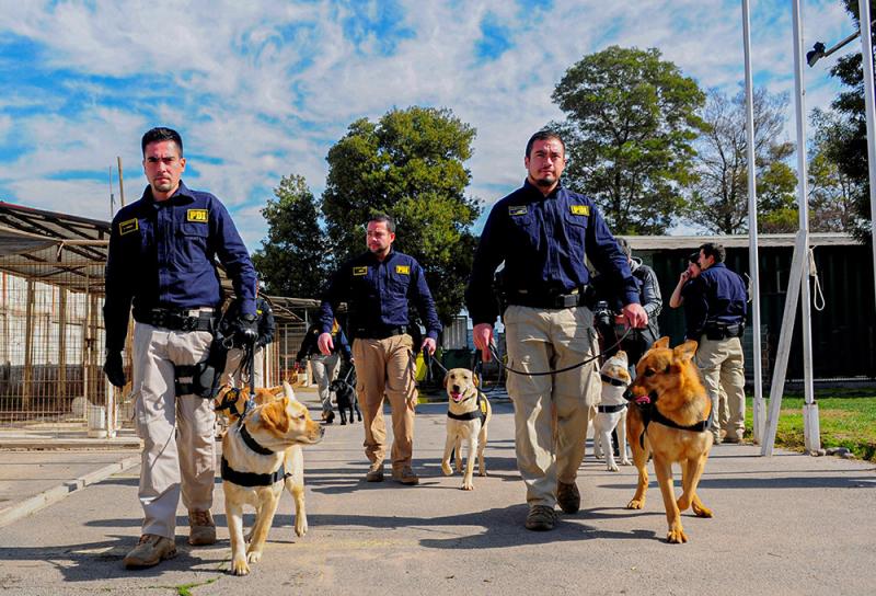 PDI abre convocatoria para postulantes a agentes policiales (Foto: PDI)