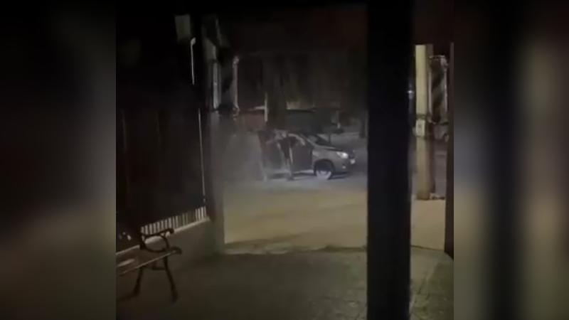 T13 - Triple homicidio en Renca