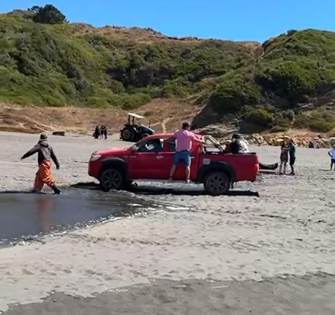 Mujer surfista muere tras grave accidente con embarcación en Cobquecura