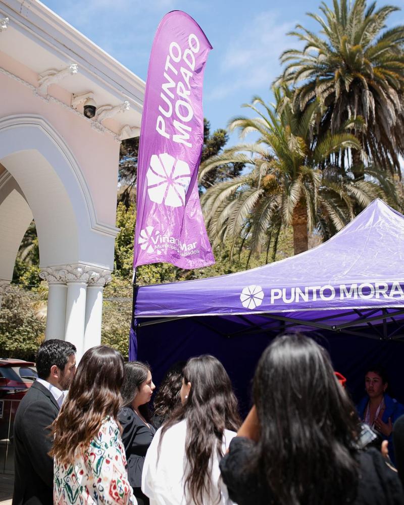 Lanzan campaña contra la violencia de género en el Festival de Viña del Mar - Instagram Macarena Ripamonti