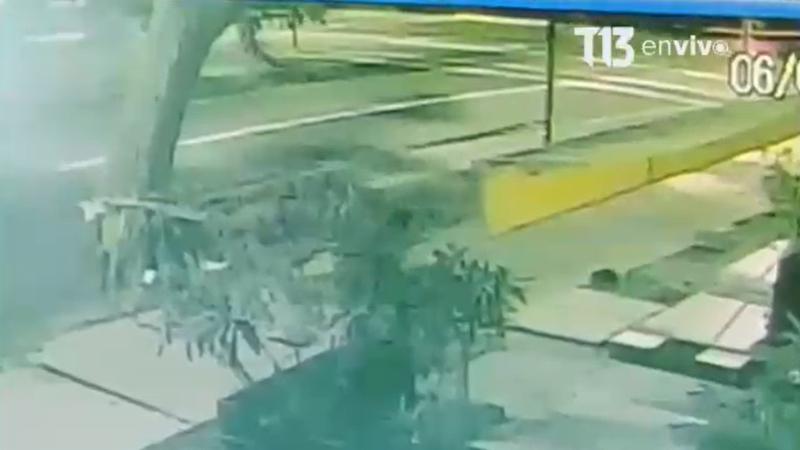 T13 - Caída de árbol