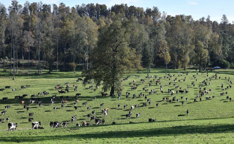 AGENCIA UNO - Revisa el pronóstico del tiempo de este miércoles 12 de marzo