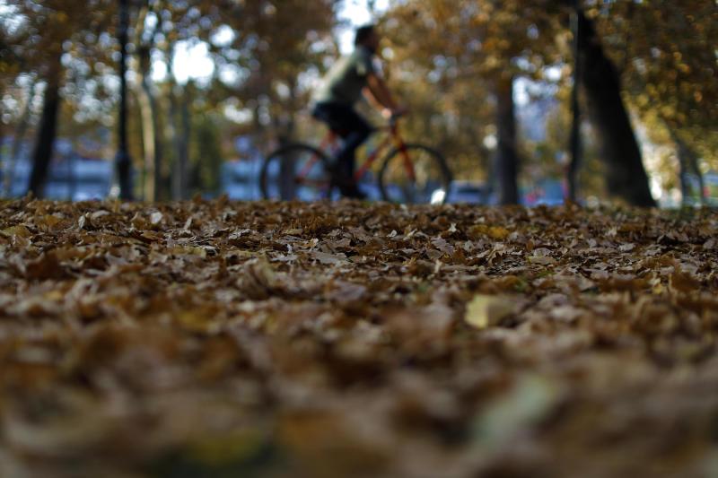 Agencia Uno - El otoño llegó oficialmente al país