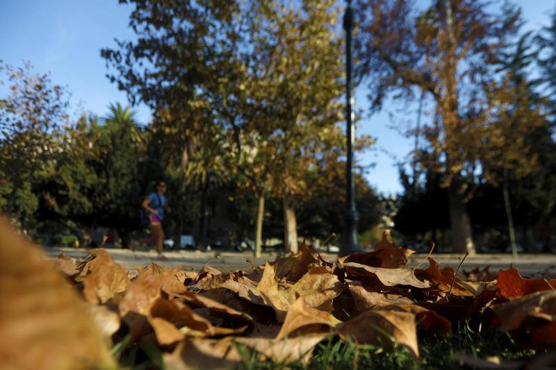 Temperaturas cada vez más otoñales - Agencia Uno