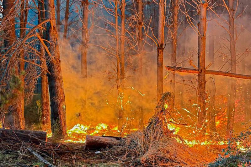 Agencia Uno - Comuna de Hualqui, en el Biobío, afectada por incendios forestales
