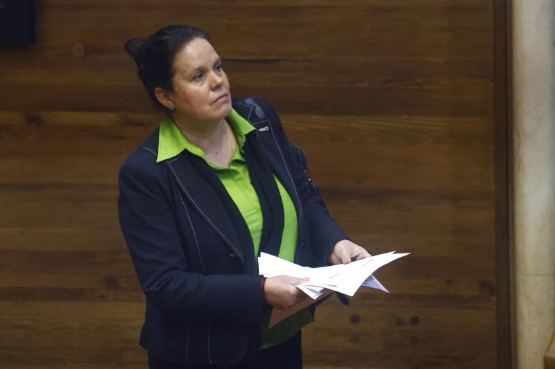 Aton - Ministra de Defensa, Maya Fernández