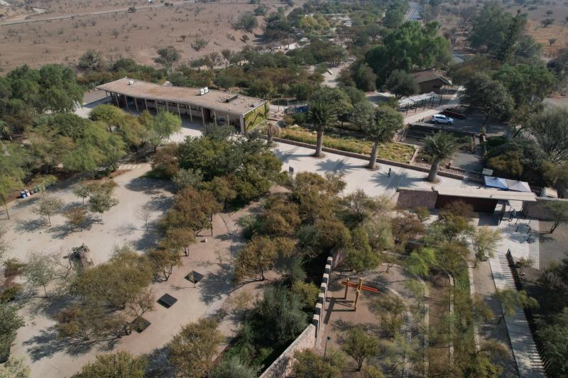 Primer jardín botánico de especies nativas de la región Metropolitana logró reducir en un 20% su consumo de agua