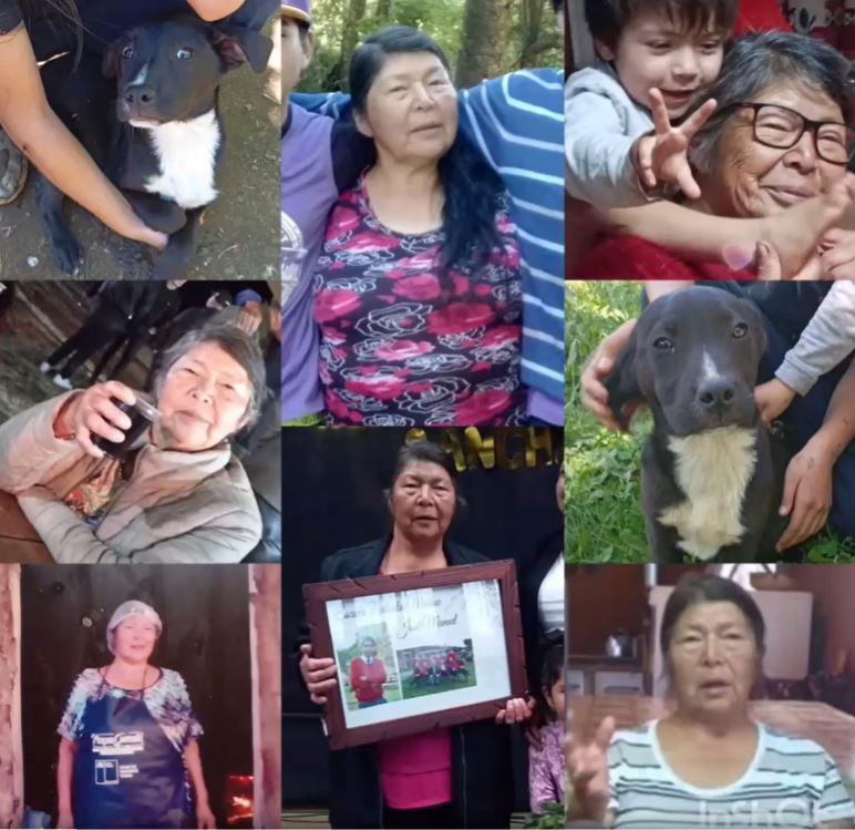 Julia Chuñil Catricura