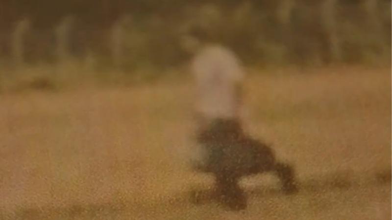 T13 - ¿Narcoavionetas en Chile?: La alarmante escasez de fiscalización aérea en Chile