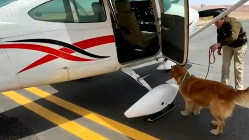 T13 - ¿Narcoavionetas en Chile? La alarmante escasez de fiscalización aérea en Chile