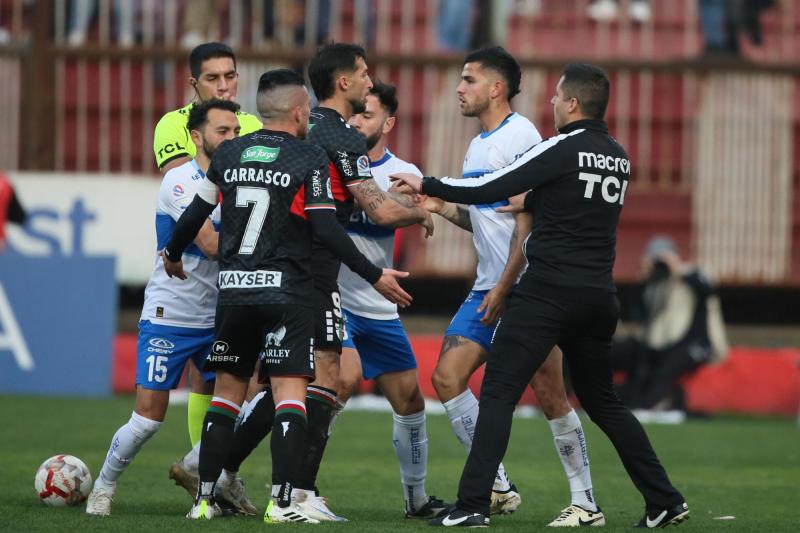 U Católica y Palestino chocan en la primera ronda de Copa Sudamericana - Créditos: Photosport