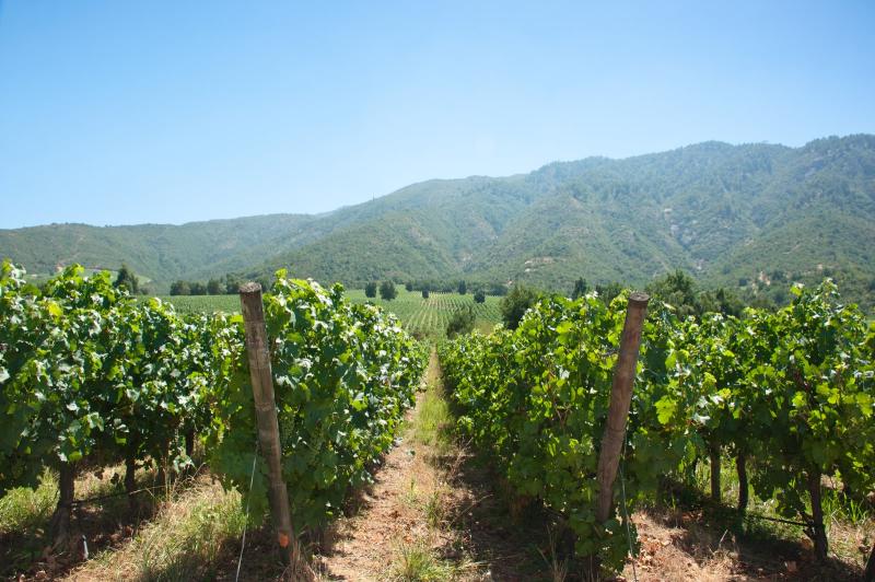 Chile Travel: Valle del Cachapoal