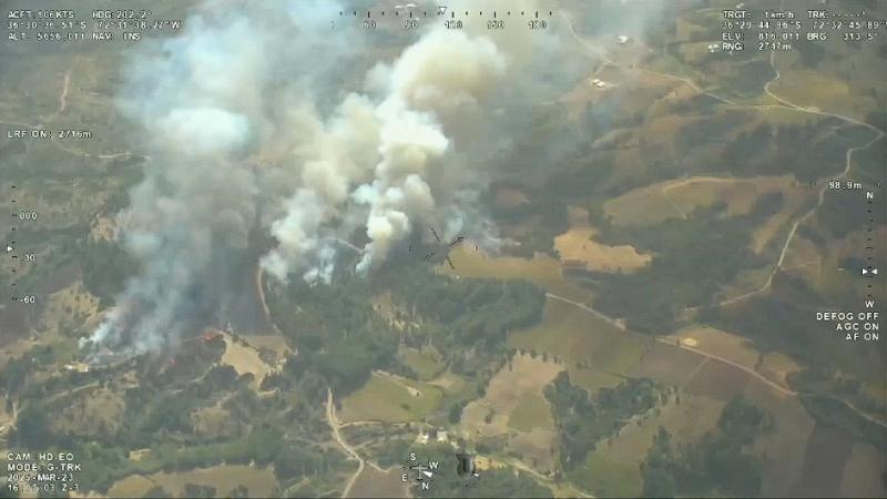 Incendios forestales en sector Trancoyán, comuna de Portezuelo, región de Ñuble (gentileza)
