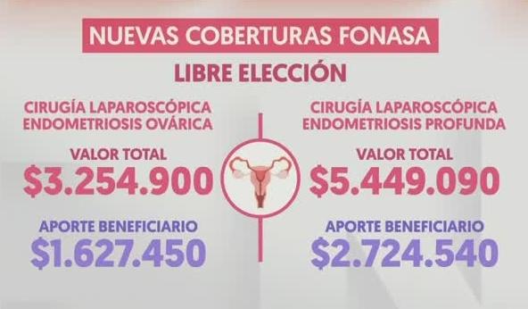 Nuevas coberturas de Fonasa para mujeres: Destaca el caso de endometriosis