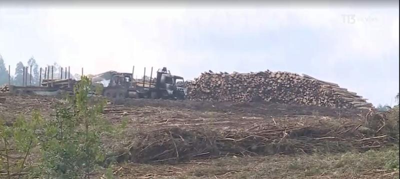 T13 - Atentado en la macrozona sur del país