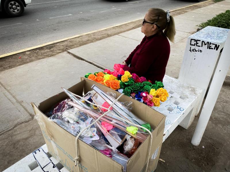 Día de la Madre - Agencia Uno