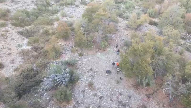 Lugar donde quedó el arriero lesionado