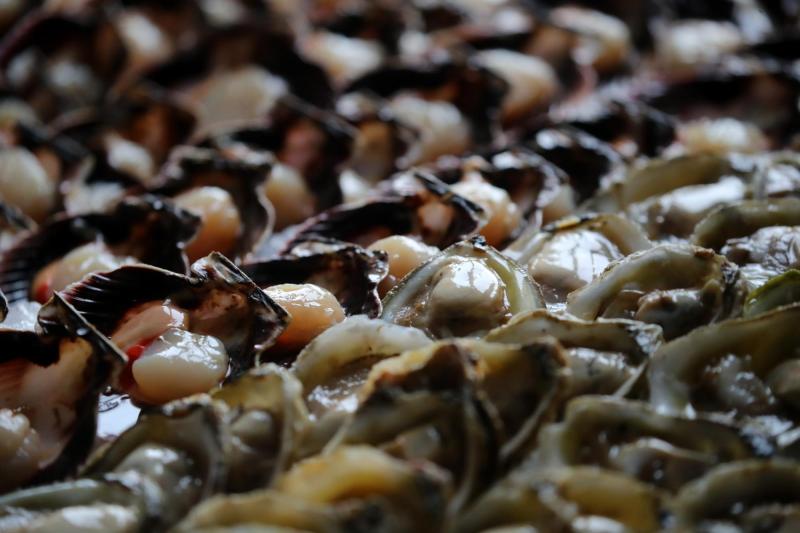 De dónde viene la tradición de comer pescados y mariscos para Semana Santa - Aton