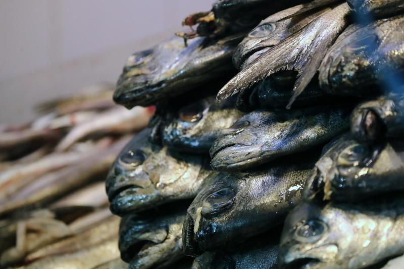 Recomendaciones para prevenir intoxicación por pescados y mariscos - Aton