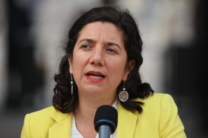 Aton- La ministra Etcheverry pidió a la Fiscalía aclarar la solicitud de intervención