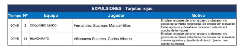 Arbitro detalló los insultos de Carlo Villanueva y Manuel Fernández - Créditos: Informe Arbitral