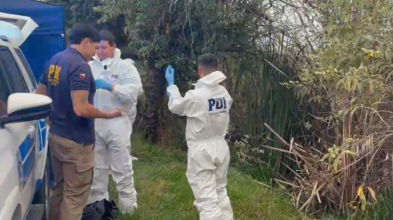 Encuentran cuerpo descuartizado en La Serena: Indagan si corresponde a mujer desaparecida a principios de mes | Captura de video