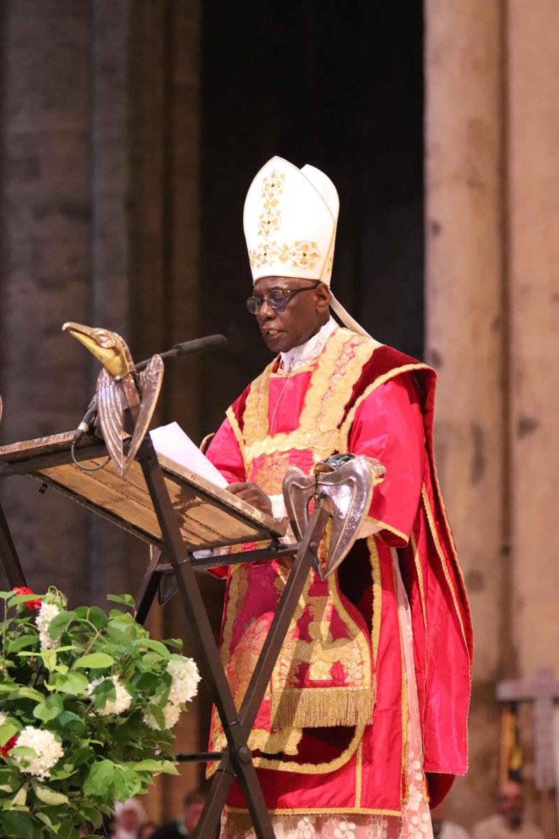 Quién es Robert Sarah, el cardenal que cuestionó el progresismo del papa Francisco y que podría convertirse en su sucesor - X @ndchretiente