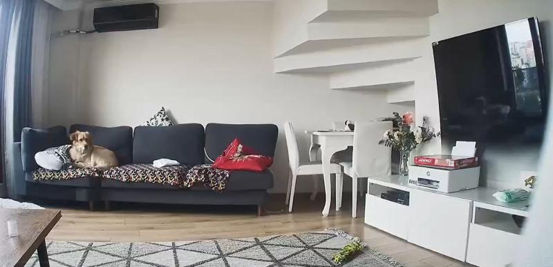 Video @Cansin811 vía Storyful