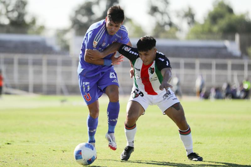 Palestino recibió esta tarde a U de Chile - Créditos: Photosport
