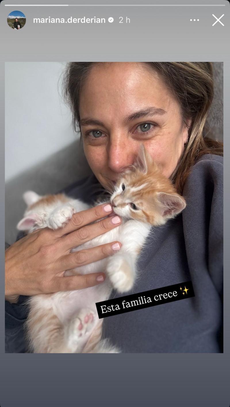 Instagram - Mariana Derderian