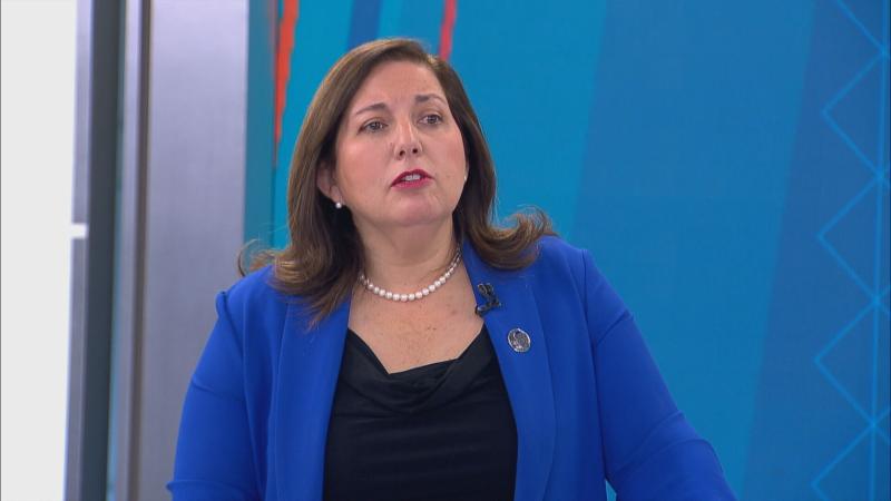 Paulina Vodanovic - Mesa Central