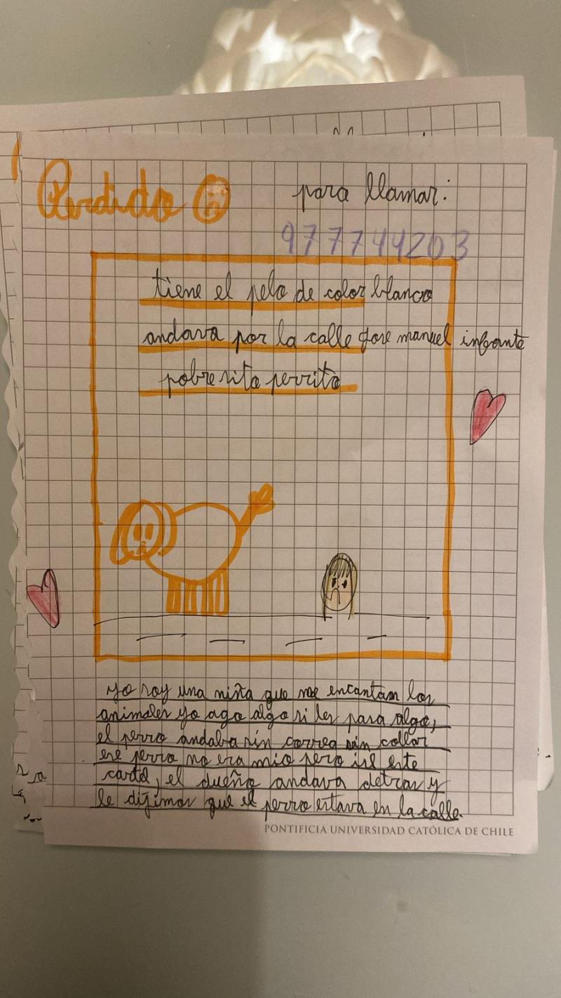 T13 - La tierna búsqueda de una niña de 8 años para encontrar a perrito extraviado