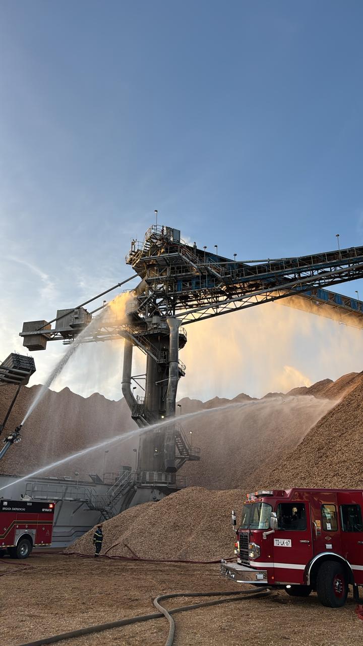 T13 - Incendio afecta estructura de la Celulosa Arauco