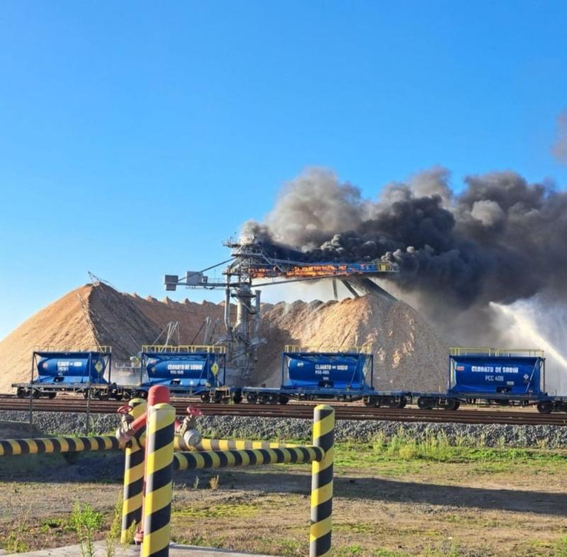 Foto: Celulosa Arauco