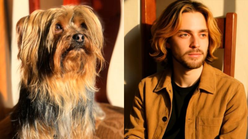 TikTok - Chat GPT convierte a mascotas en humanos