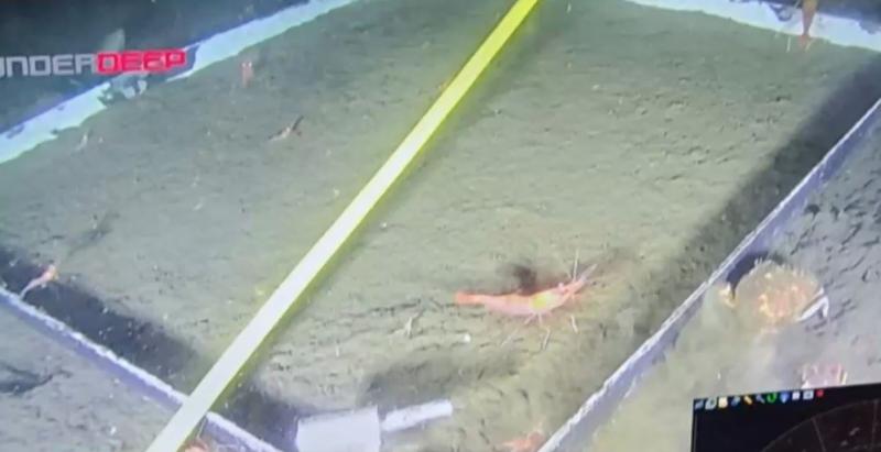 Encuentran restos metálicos de la lancha 'Bruma' en el fondo del mar