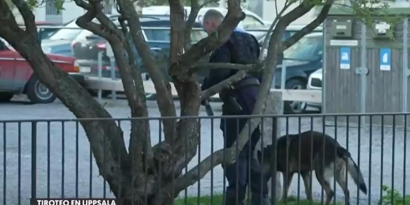 T13 - Tiroteo en Suecia