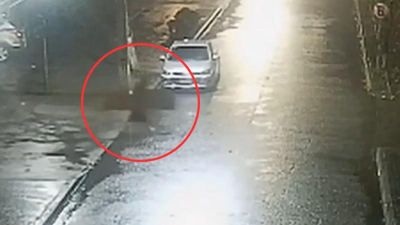 Captan a delincuente disfrazado de monja en Santa Juana: se robó tablón de madera de dos metros