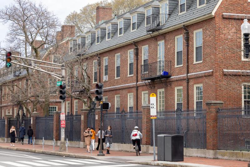 AFP - Universidad de Harvard