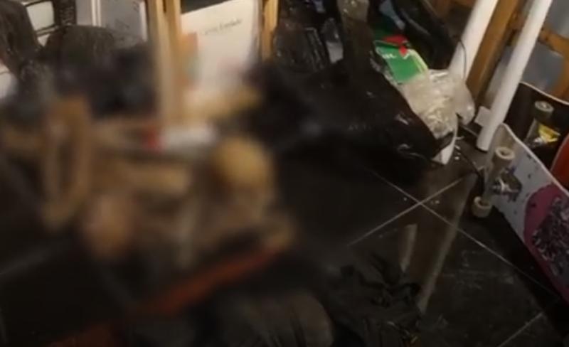 PDI - Allanamiento en casa del profanador de tumbas