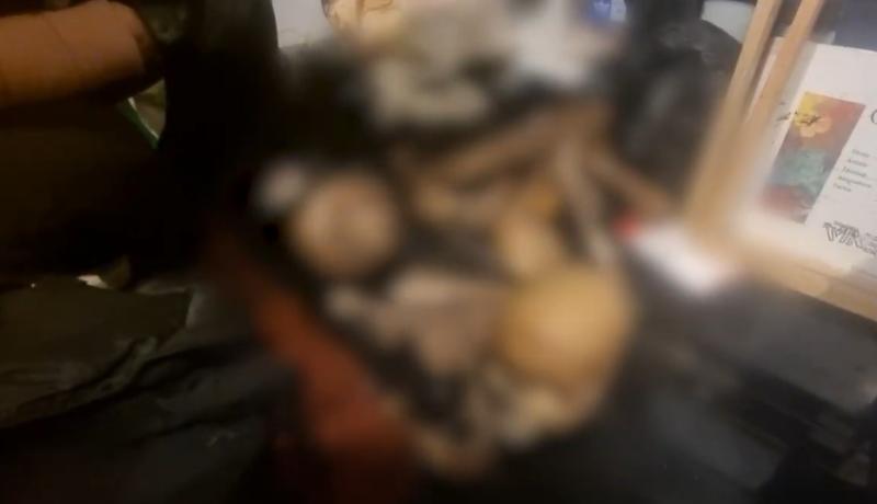 PDI - Allanamiento en casa del profanador de tumbas