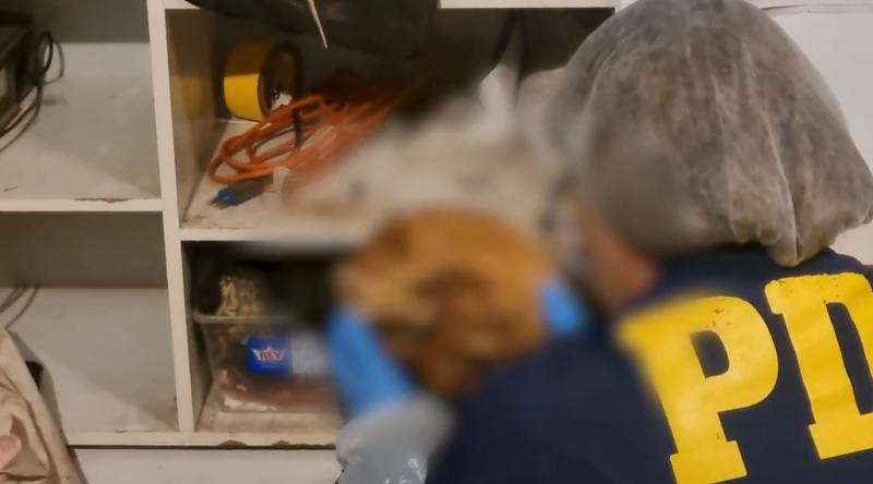 PDI - Allanamiento en casa del profanador de tumbas