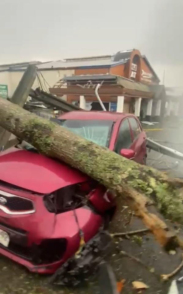 T13 - Gianfranco Marcone explica trasfondo de devastador tornado en Puerto Varas: Podría volverse más frecuente | Captura de video