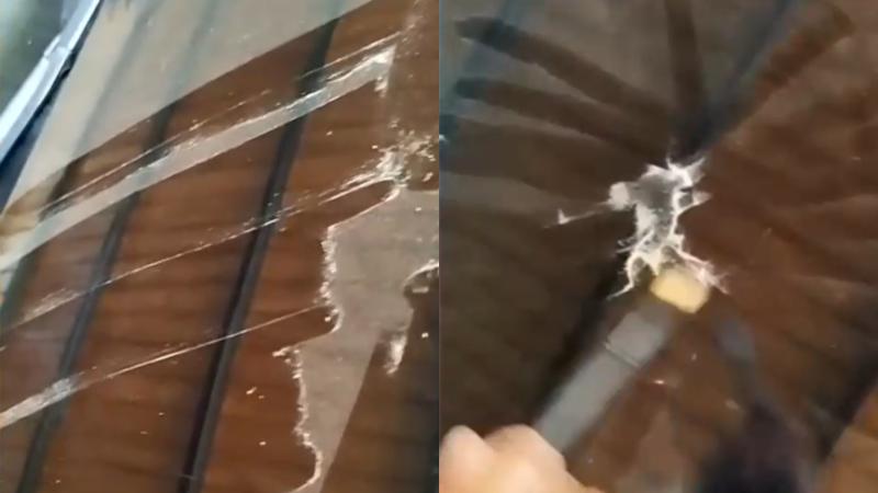 La Tarde es Nuestra -