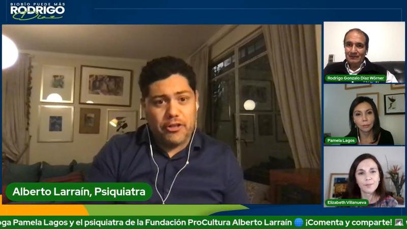 Alberto Larraín, cofundador de ProCultura, en el live de Rodrigo Díaz - Facebook