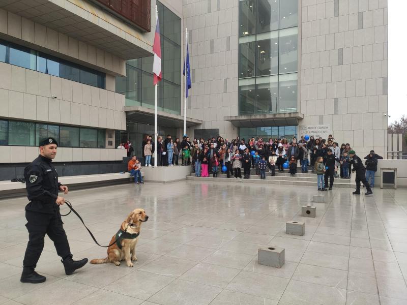 Presentación de perros de gendarmería frente a la Corte de Chillán - Cedida