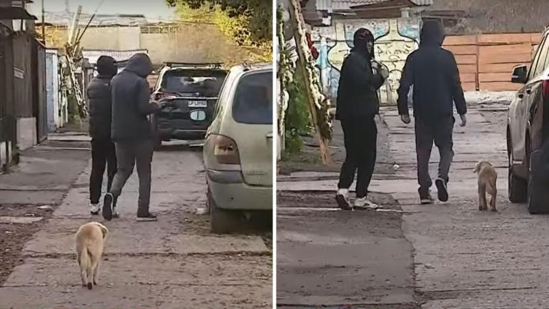 Tu Día - Amenazas a equipo del 13