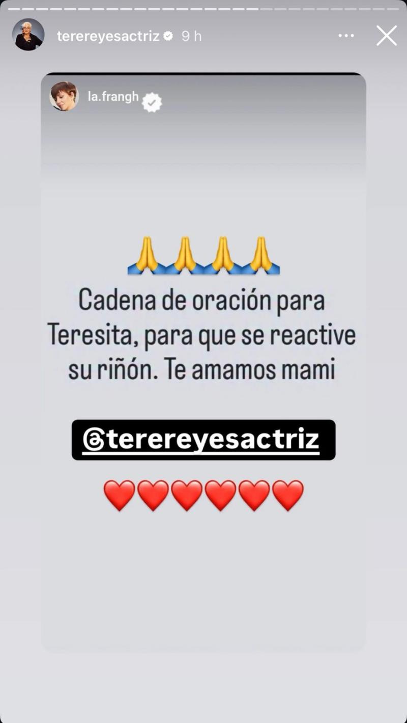 Instagram - Fran García-Huidobro apoyando cadena de oración a Teresita Reyes