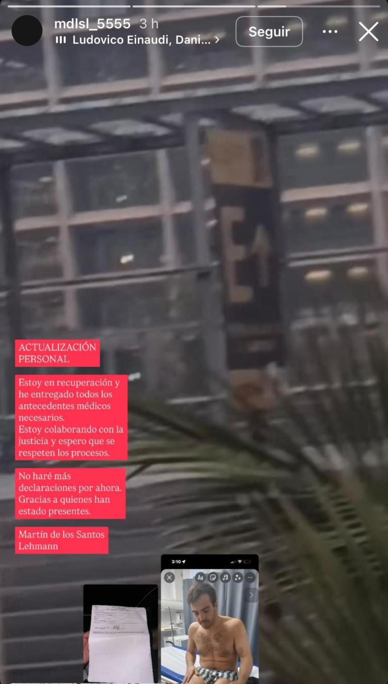 Instagram - Martín de los Santos Lehmann